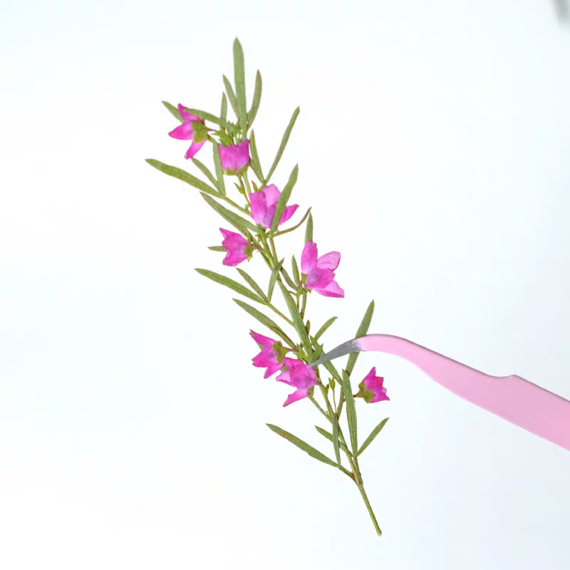 100pcs Bunga Aidia Canthioides - Dried Flower Bookmark ulasan dan harga