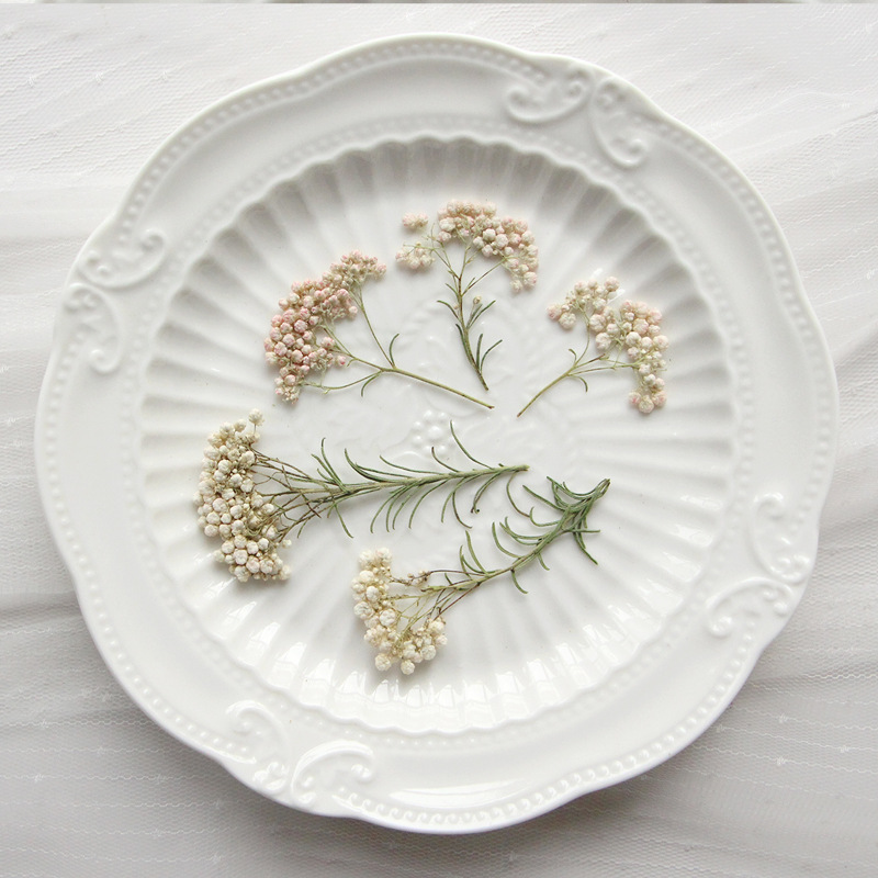 12pcs, Ranting Bunga Millet Al - Dried Flower Bookmark ulasan dan harga